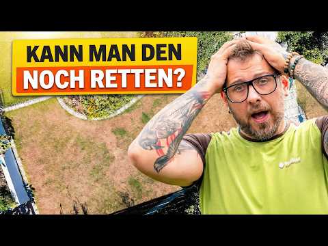 Kaputten Rasen im Herbst retten: Schritt-für-Schritt Anleitung