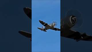 Brand Video