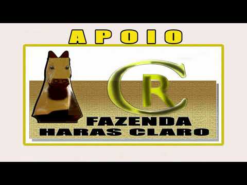 Clas Xlll GP Haras Primavera Canindé Ceará 14 e 15 De Março de 2020