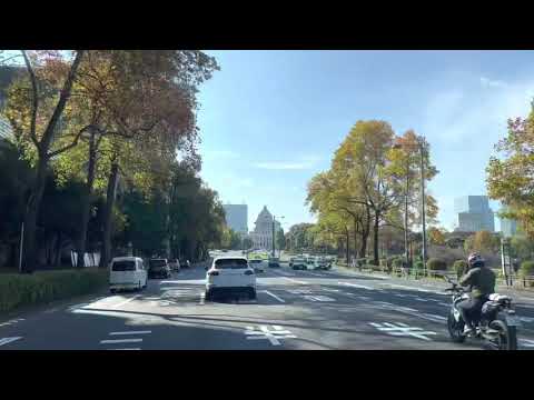 100 Seconds Video: Tokyo (1)