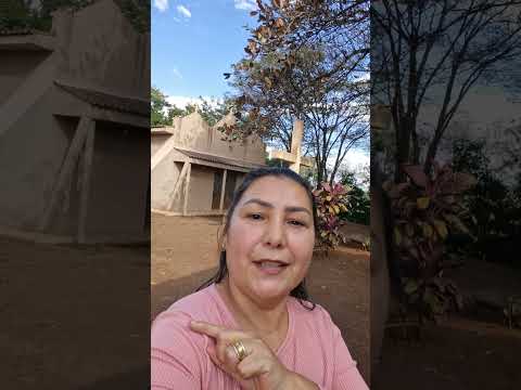 Visitando. Diaconia  Nossa Senhora de Fátima. Lidianópolis PR.