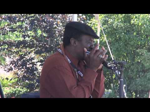 Thumbnail for Terry Harmonica Bean - Catfish Blues (harp) by Terry "Harmonica" Bean