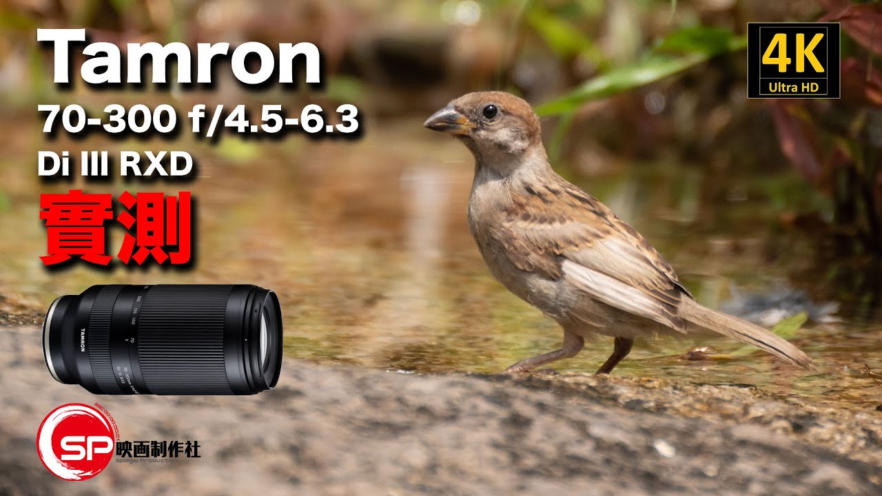 【攝影跌貨王】 Tamron 70-300 f/4.5-6.3 Di III RXD  實測 | #廣東話 #攝影 #tamron #騰龍