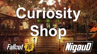 Curiosity shop