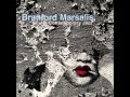 Branford Marsalis - Requiem