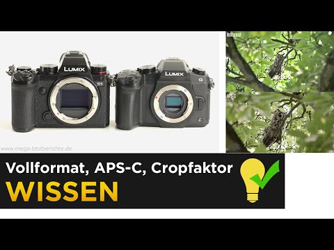 Cropfaktor verstehen - Unterschied zwischen Vollformat, APS-C und Co (Beispiel mit der Lumix S5)