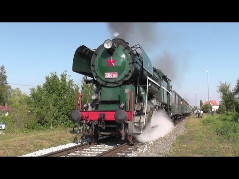 Parní lokomotiva 464.202 Rosnička - Slovácké slavnosti vína