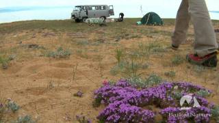 preview picture of video 'Olkhon - the largest island of Lake Baikal'