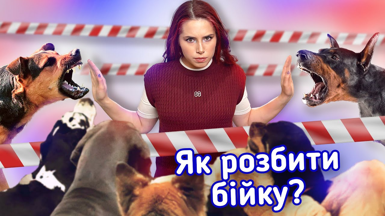 YouTube video preview