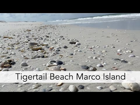 Marco Island Tigertail Beach Map