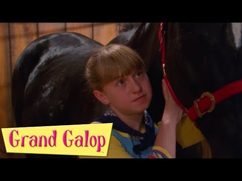 Grand Galop - Épisodes 19 à 20 | Compilation | Grand Galop Saison 1