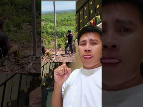 ด่วน‼️วัยรุ่นนกคุ้มลี้อีกแล้ว