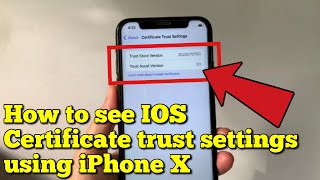 How to turn on or off iOS certificate trust settings using iPhone X