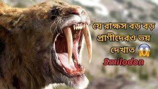 Smilodon প্রাগৈতিহাসিক যুগের সবচেয়ে ভয়ঙ্কর শিকারী #smilodon #prehistoric