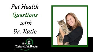 How To Keep Your Cat Calm During Travel with Dr. Katie Woodley - The Natural Pet Doctor