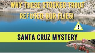 Why These Stocked Trout REFUSED Our Flies!