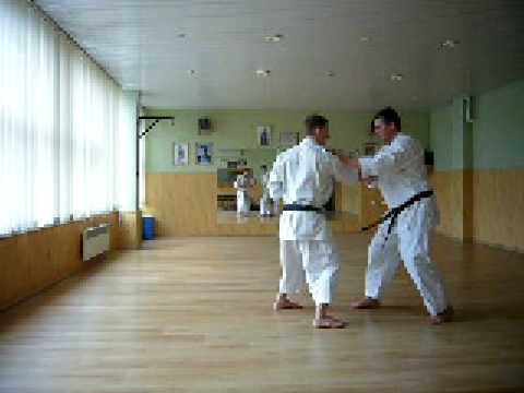 Jundokan Goju Ryu Karate: Gekisai Bunkai Drill 1.2