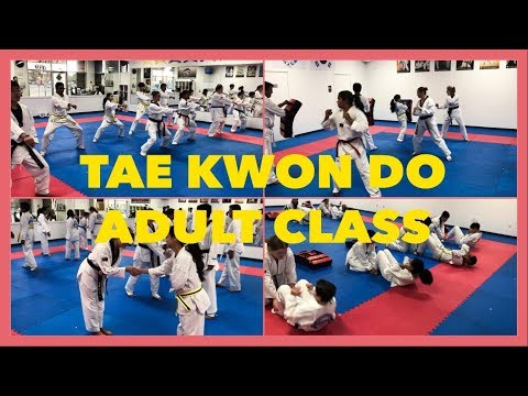 [Tae Kwon Do] ADULT CLASS | Never too late!