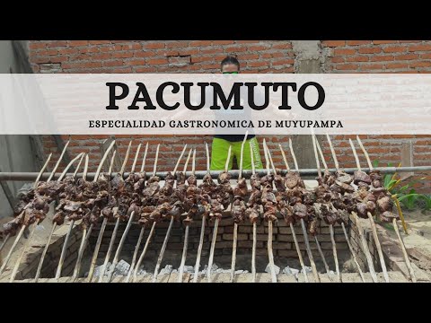 Fiesta del Pacumuto - Muyupampa