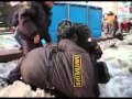 Песня про мусорской беспредел 