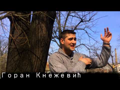 Nikola Kovačević - Mitrovdanska ofanziva