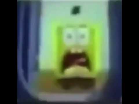 SpongeBob and Mr.Krabs yelling in low quality