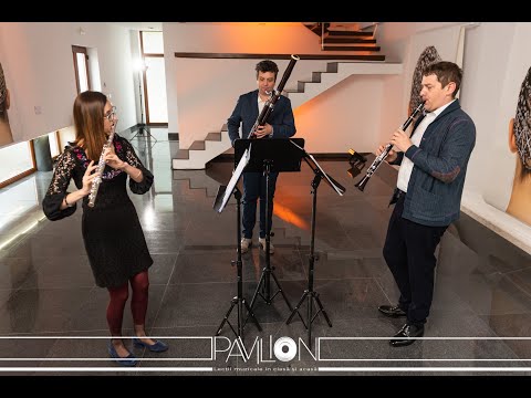 Pavilion Muzical 2021 R. Ilovan, R. Poptean, R. Sângeorzan - Instrumentele de suflat - Episodul #6