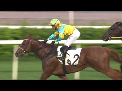 18/9/2022 (28) Mr Ascendency - Silvestre de Sousa