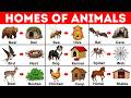 Animals And Their Homes Homes Of Animals Animals Vocabulary Animal Homes With Pictures