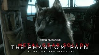 Trailer rivelazione cane DD