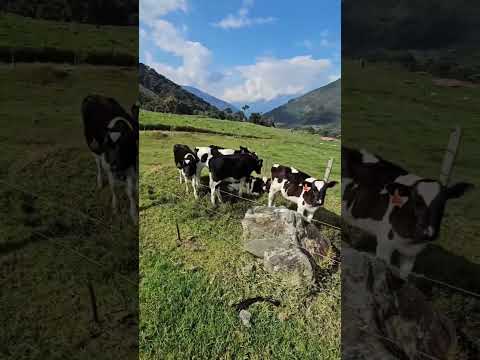 #táchira #turismo #venezuela #viralvideo #tendencia #sanjosedebolivar