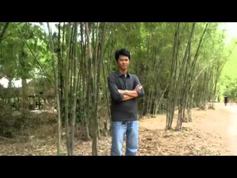 Sne Srey bey srok ស្នេហ៏ស្រីបីស្រុក