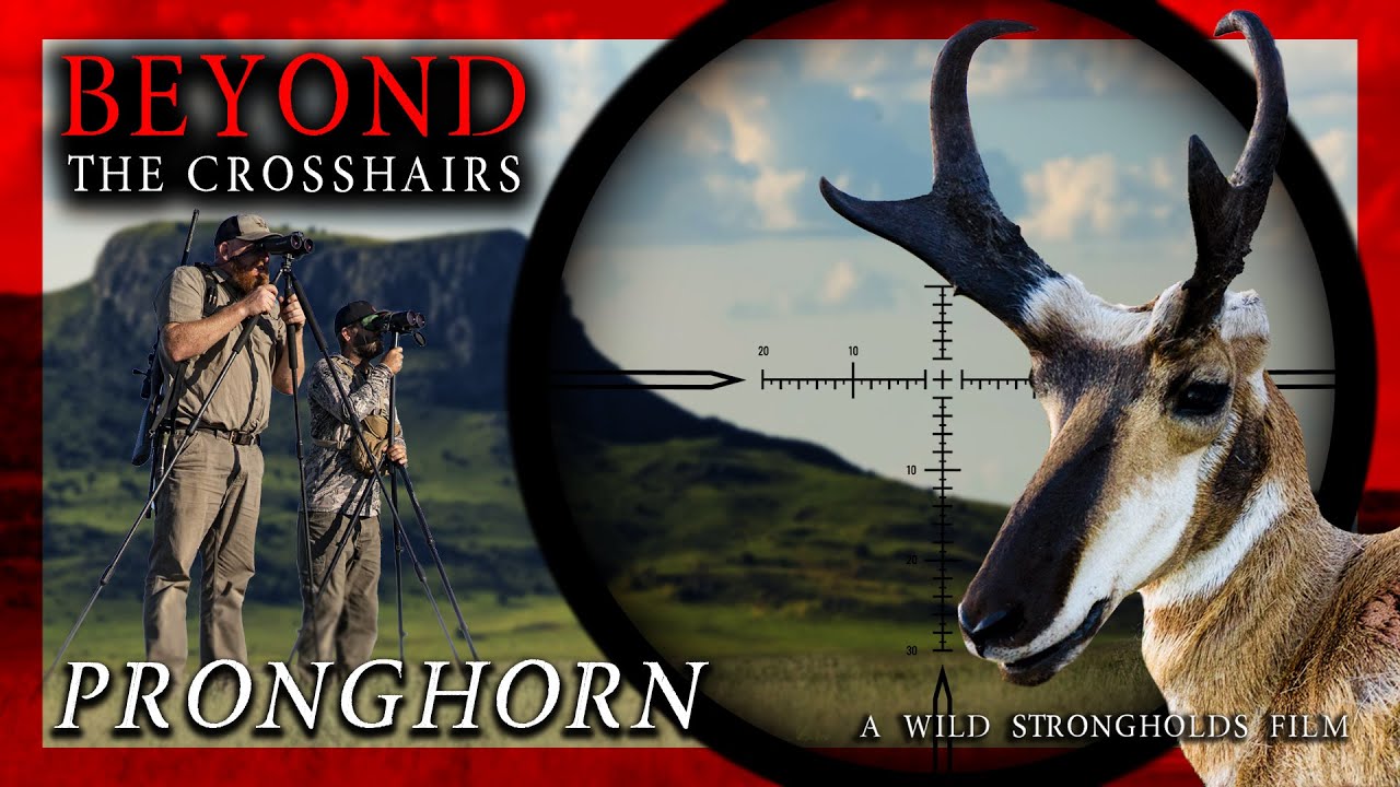 Pronghorn - Beyond the Crosshairs - A Wild Strongholds Film - 4K