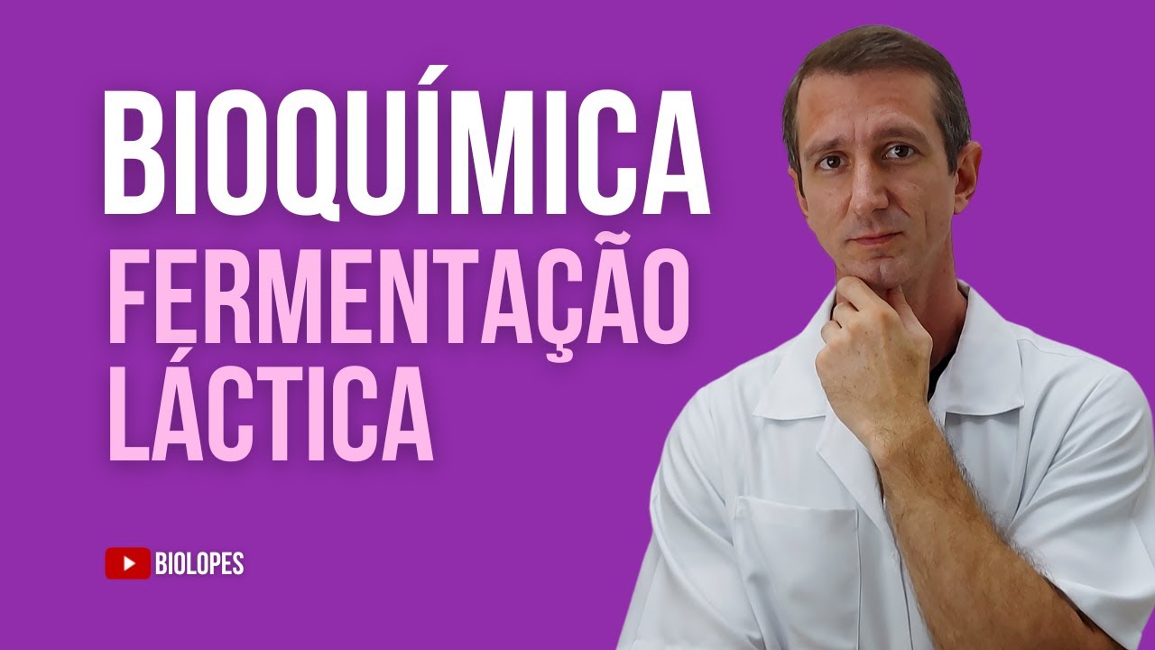ENTENDA FERMENTAÇÃO LÁTICA - BIOLOPES