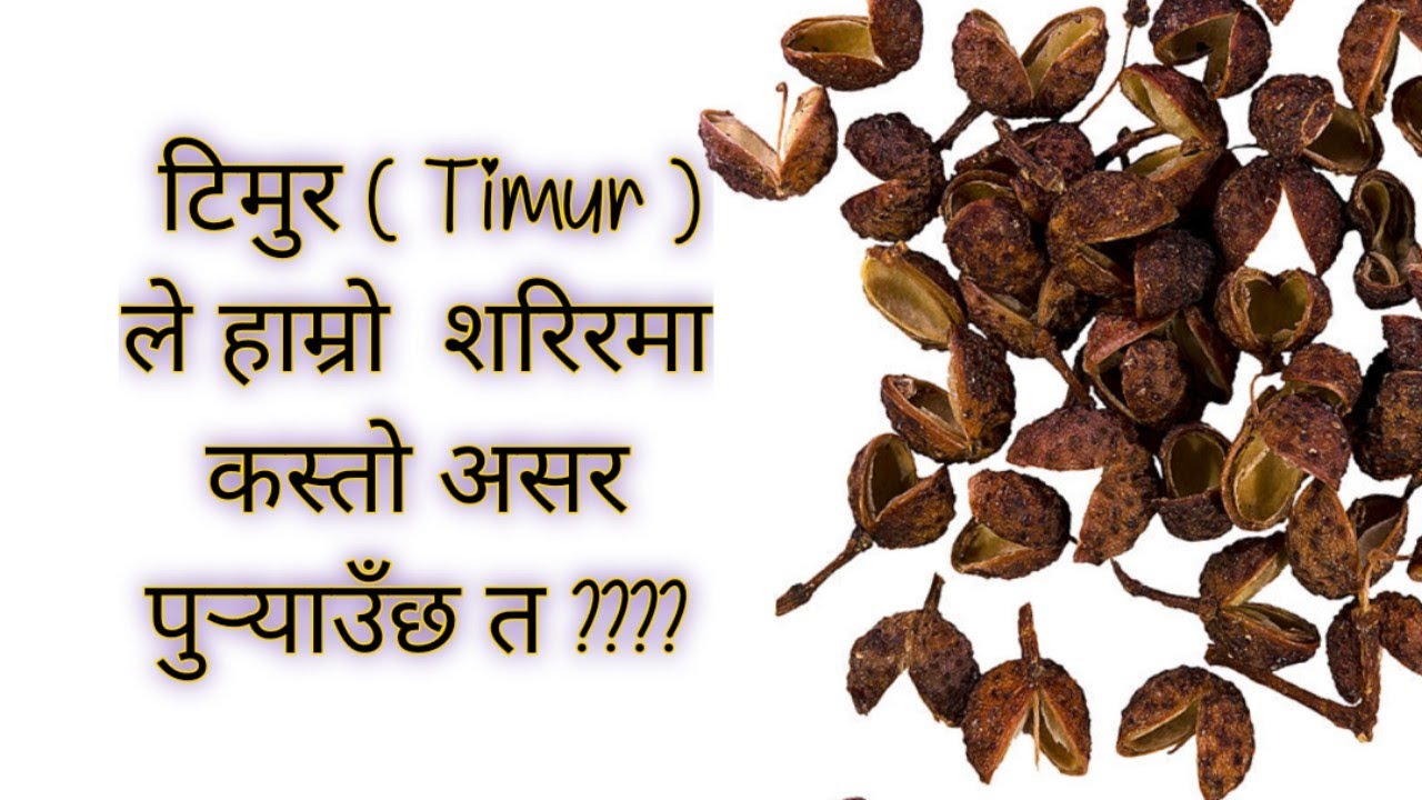 टिमुर (Timur) खाँदा शरिरमा कस्ता असर हुन्छन् , कसले खानु हुँदैन l Nepali Health tips, Timur ka faida