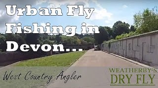 Urban Trout Fly Fishing in Tiverton on the River Exe