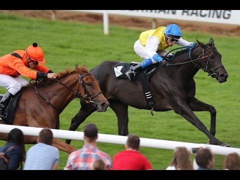 Hannover: Preis der Hanebutt Dachdeckerei (D) - Siegerin: Intendantin