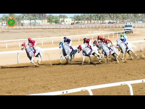 الشوط الأول- السباق الرابع - 10/11/2018 - Race 4 1st meeting