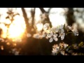 Chris Reece - Away From You (Original Mix) 