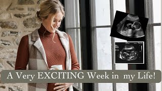 GENDER REVEAL baby #5! pregnancy update/ bulk grocery haul/ new wallpaper/ homemaking