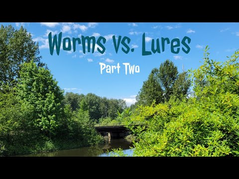 Worms vs. Lures (Part Two)