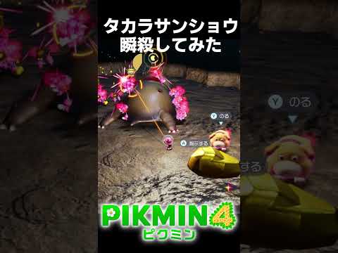タカラサンショウ 瞬殺してみた #shorts #ピクミン4