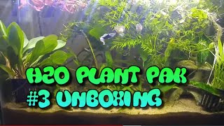 H2O Plant Pak #3 Swords
#FishFam #Fishtube #H2Oplants
