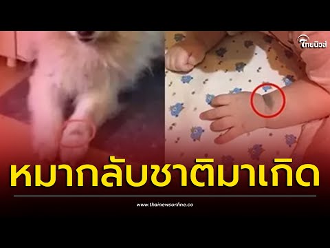 คลิกเพื่อดูคลิปวิดีโอ