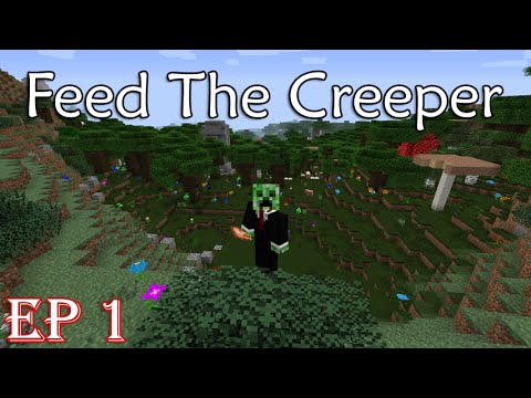 Feed the Creeper :: Spawn Tour and First Day! :: Ep. 1 - FullStack Gaming ModSauce