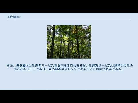 自然資本について詳しく解説