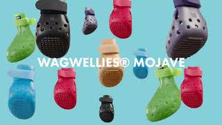 Download lagu The best dog shoe for summer!☀️ mp3