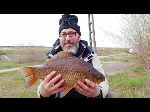 Rekordowy karaś 46,5 cm, 2kg ,Siemianówka