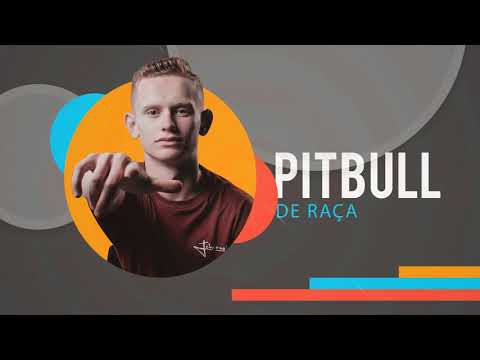 Pitbull De Raça - Tchornei