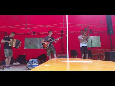 Trio Pamer - Harmonikafest (G.Amann)